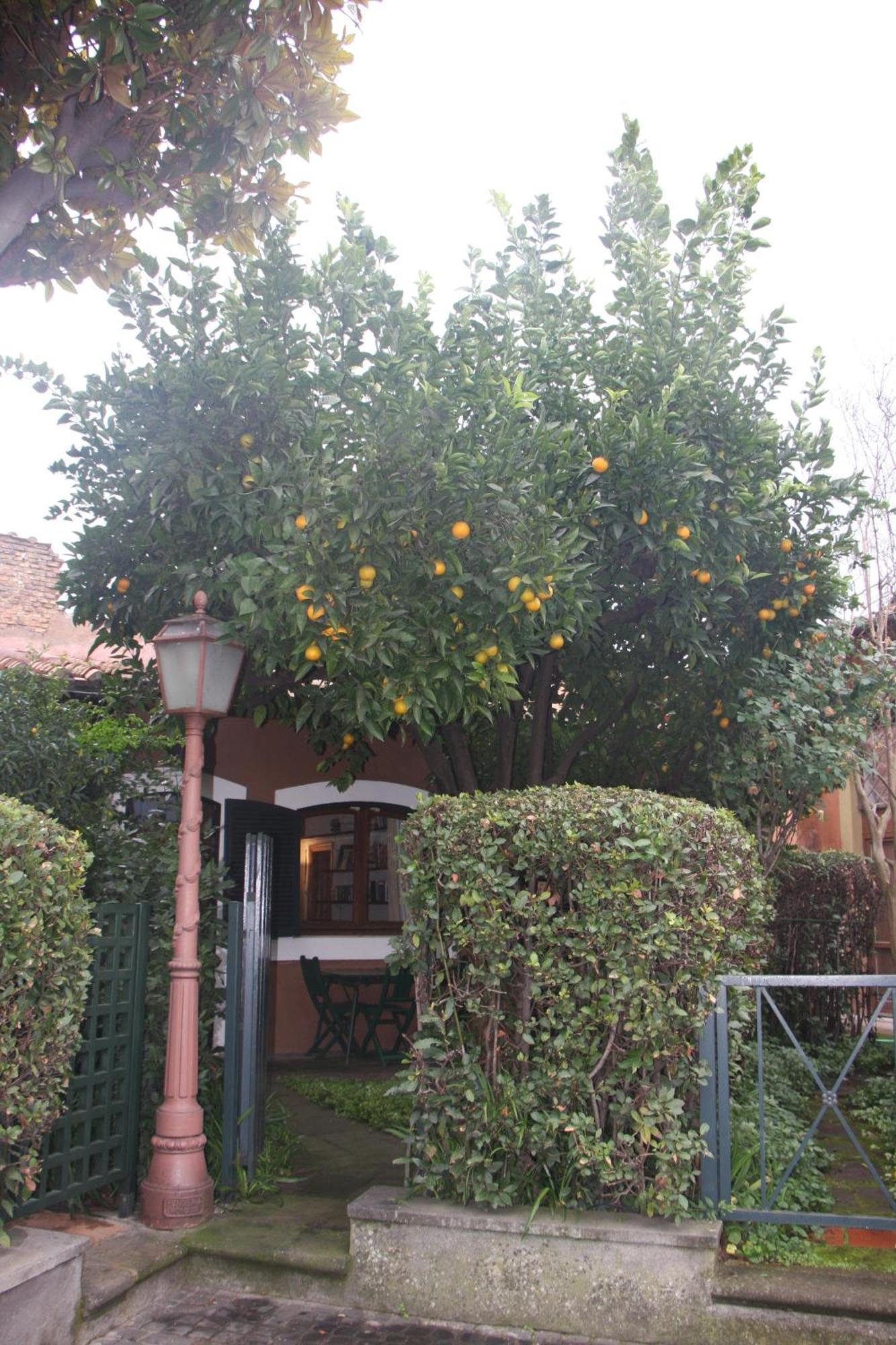 Appartamento Garden Palatino Rome Exterior photo